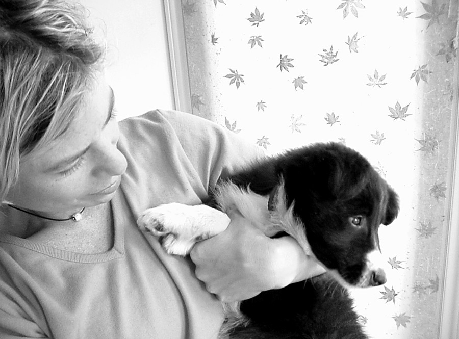 Young woman looking at her Border Collie puppy while holding him in her arms Young woman holding puppy