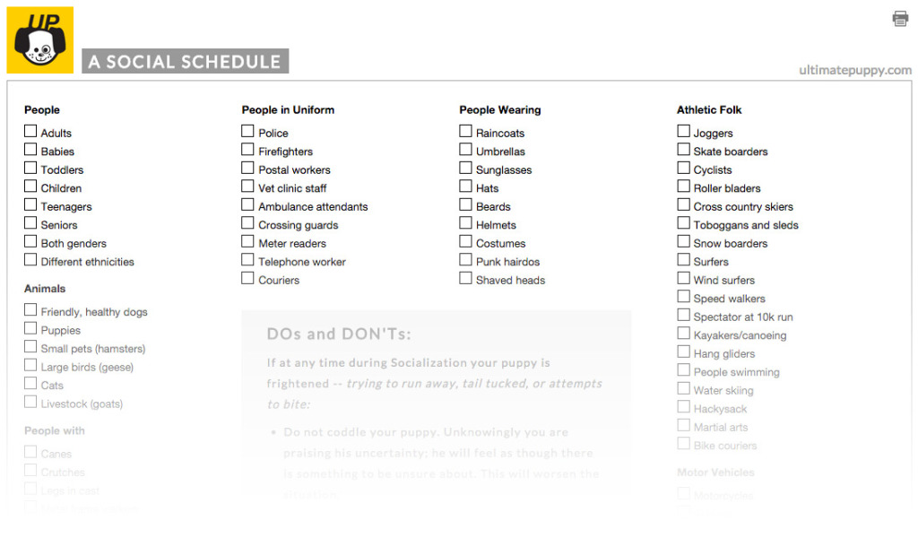 a_social_sched