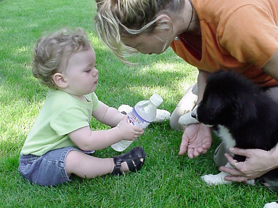 babies1