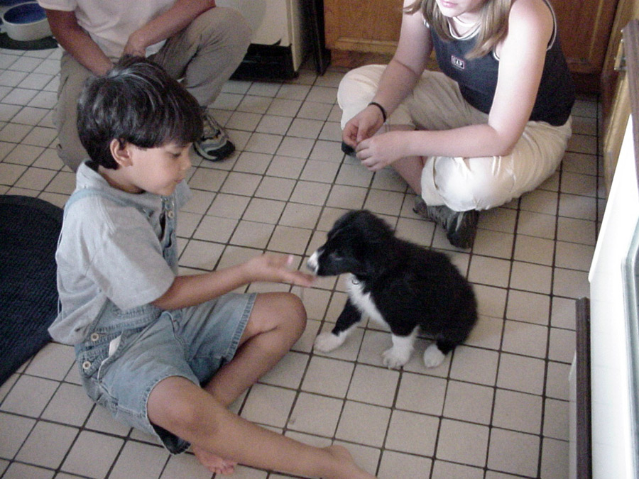 babies3