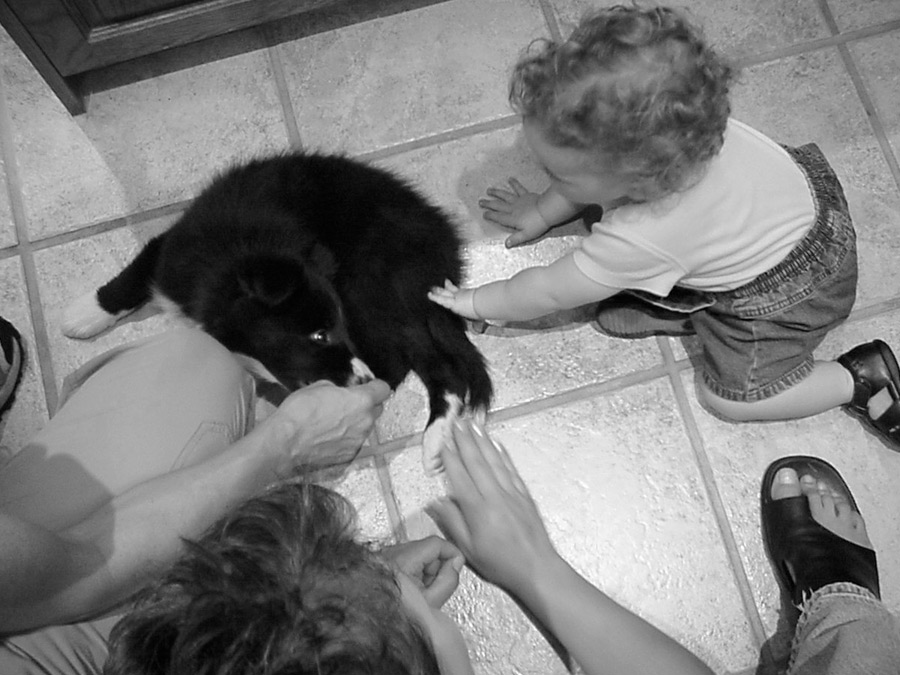 babies5