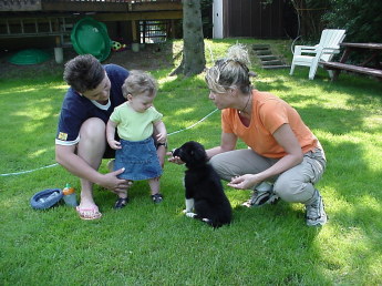 Puppy meets baby Dog trainer introduces eight week old puppy to two year old baby girl while her mother watches