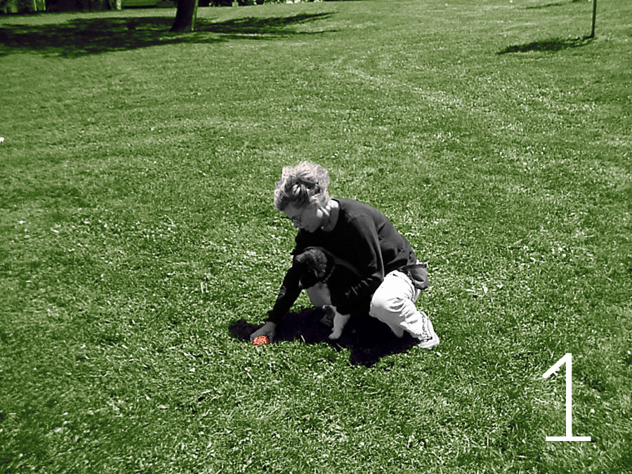 retrieve-1-bw-Colourized
