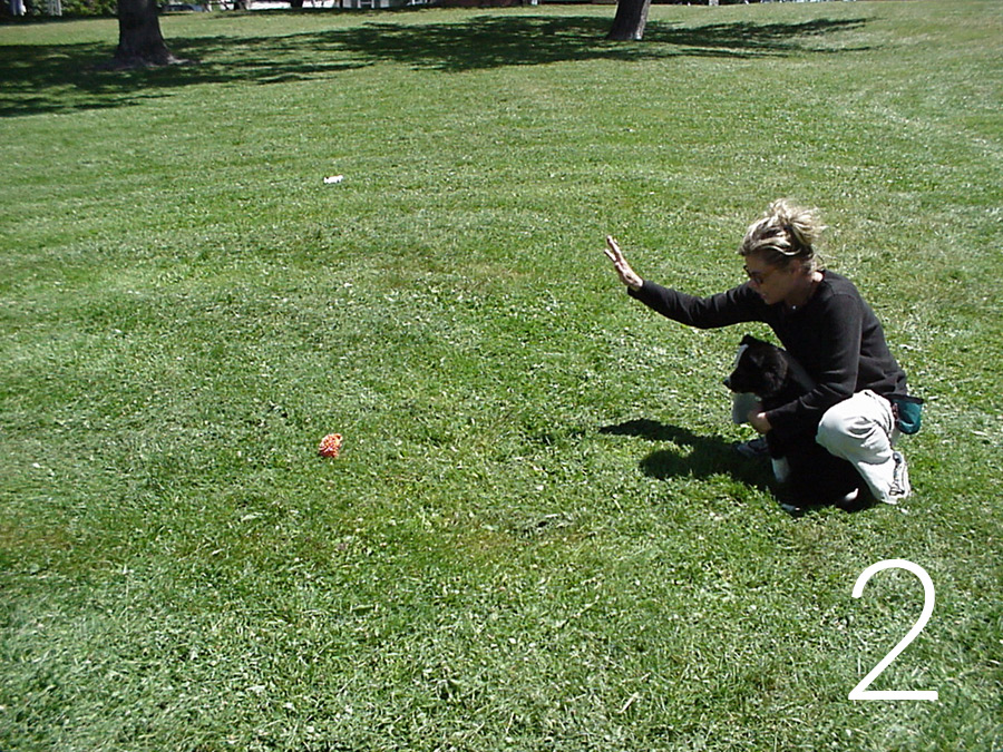 retrieve-2