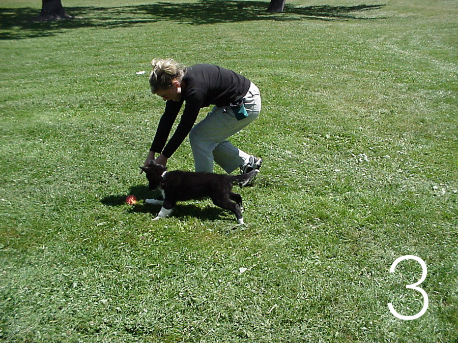 retrieve-3