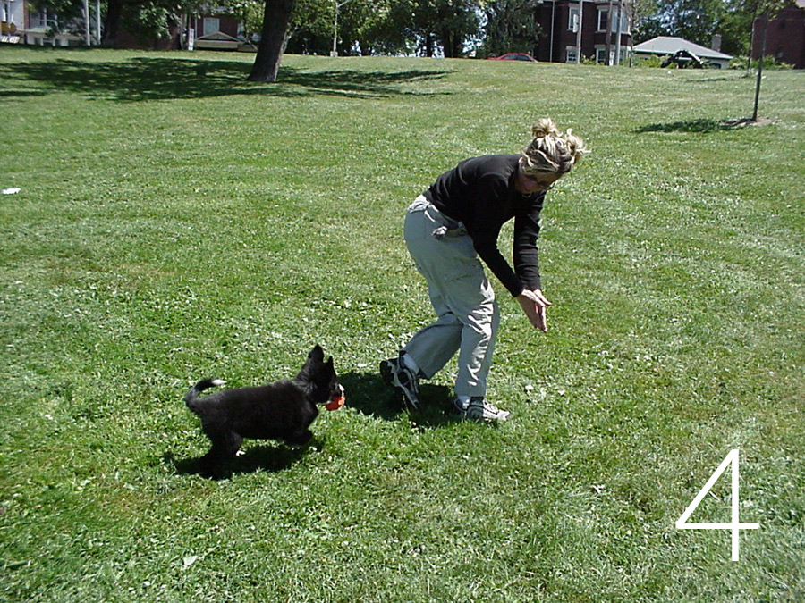 retrieve-4