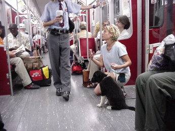 Young woman on subway with her puppy Young woman on the subway with her ten- week-old Border Collie puppy. Young woman is crouched down beside her puppy while she chats with a uniformed subway employee. Several people are also on the subway