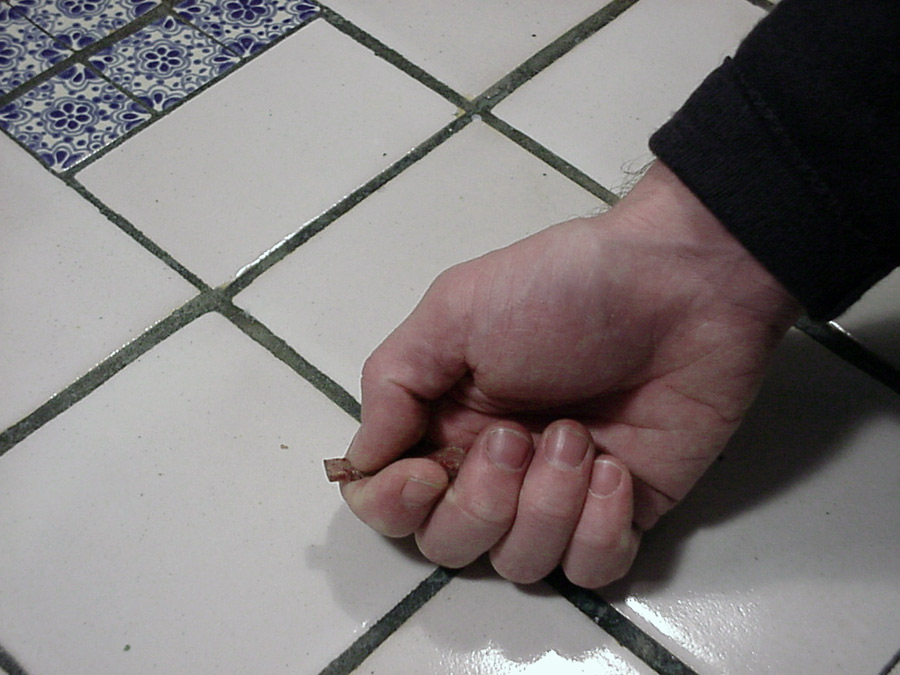 treat-size-2-color