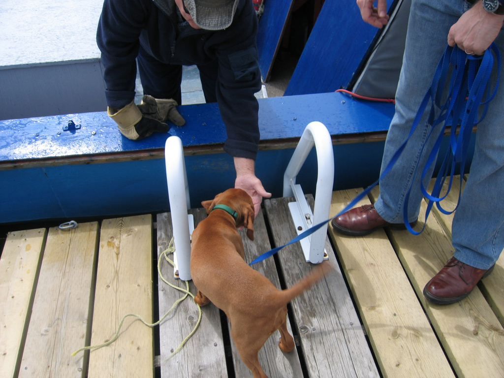 Every outing is an opportunity to introduce your puppy to new people.