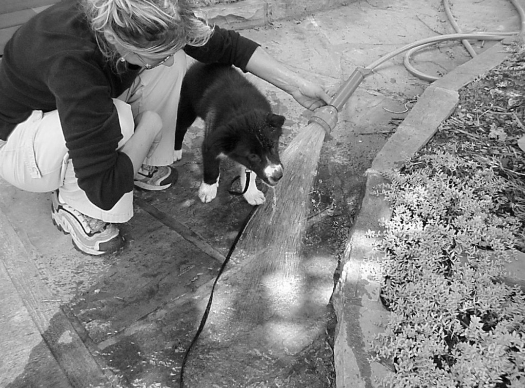 garden-hose-3-bw