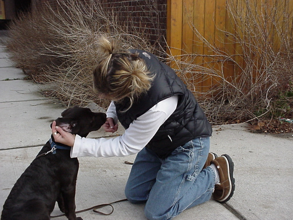 Ear: Handle, treat.