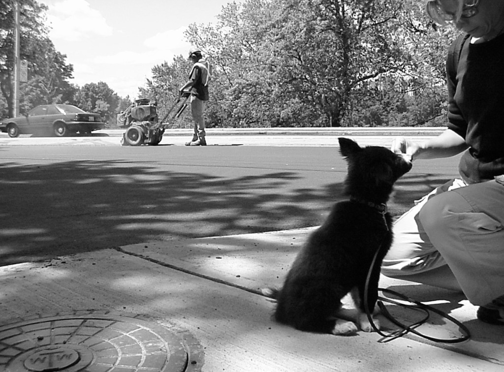 social-23-bw