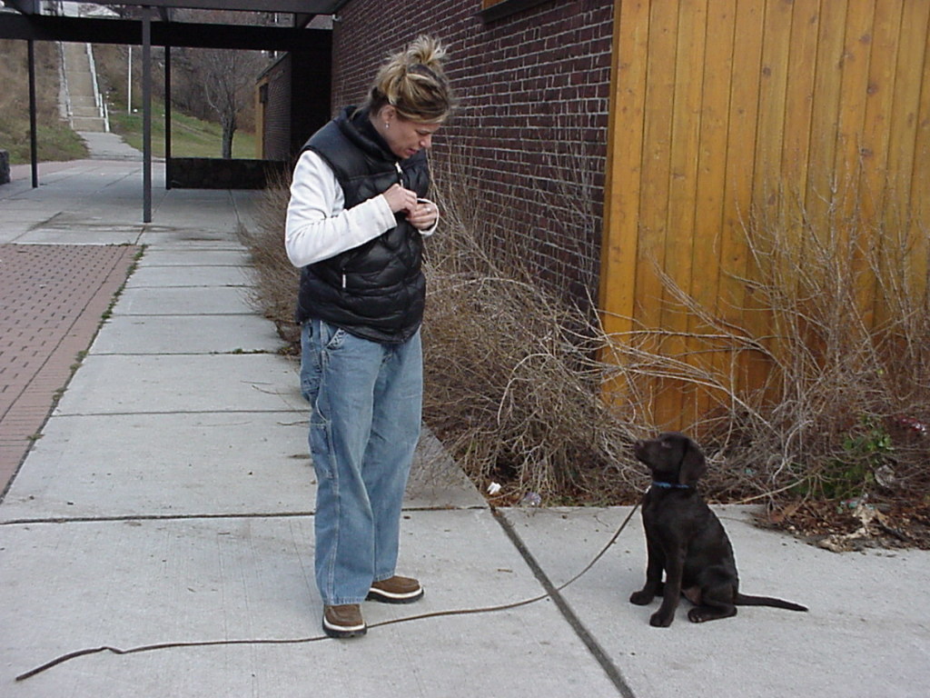 stand on leash
