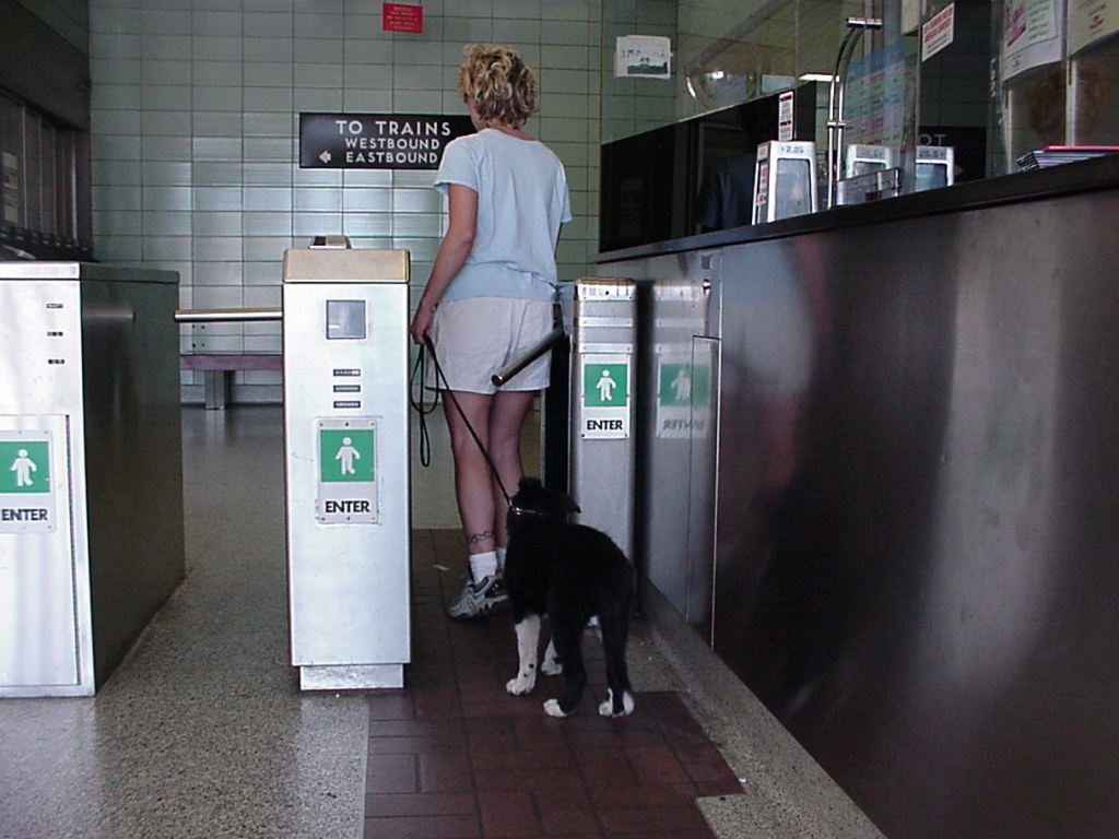 subway 1