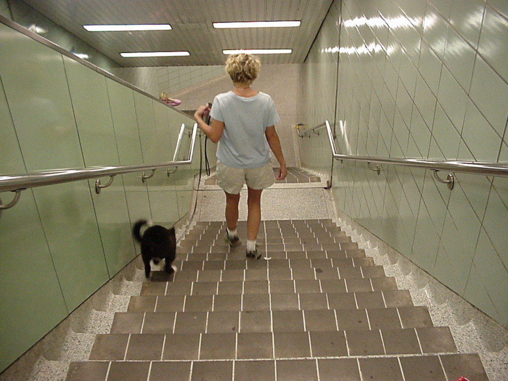subway 2