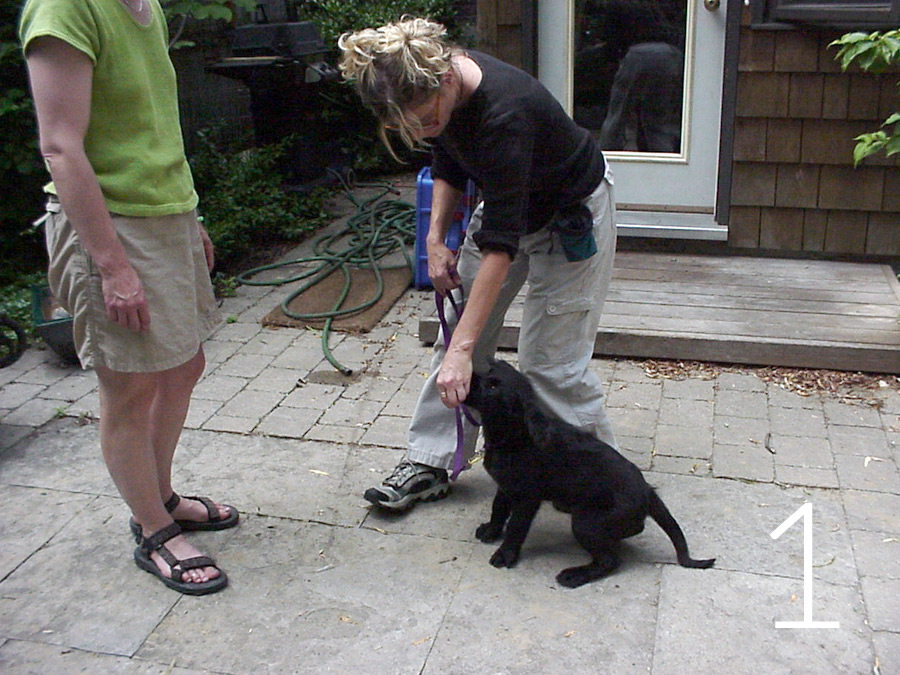meet_greet_treat1_REV