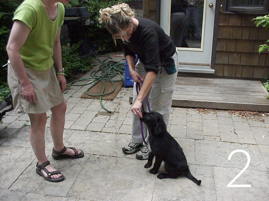 meet_greet_treat2_REV