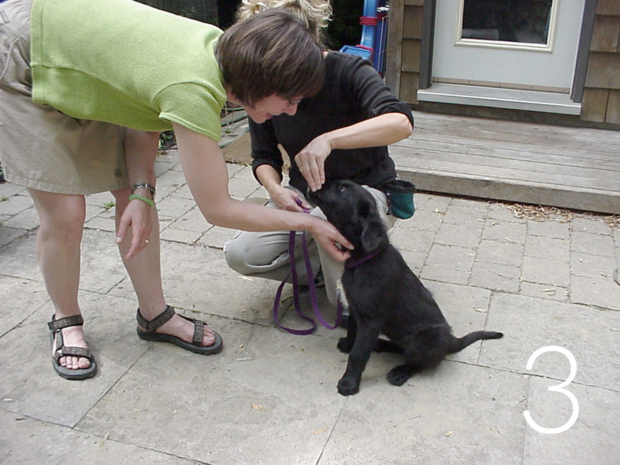 meet_greet_treat3_REV