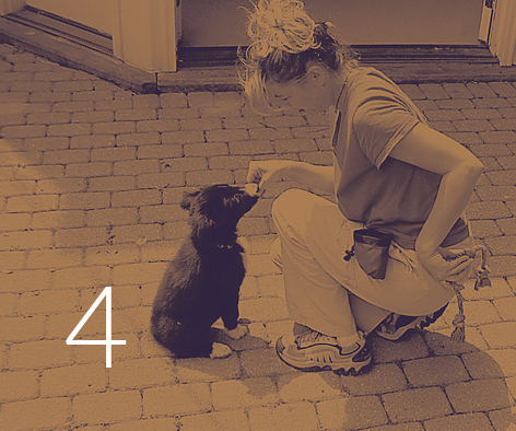 A young woman kneels while a puppy sits in front of her while receiving a treat