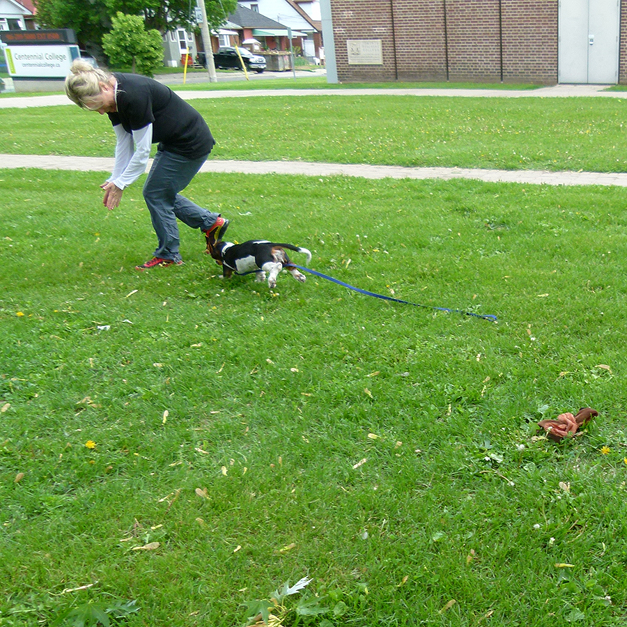Woman calls Yoo-Hoo puppy, come over here!