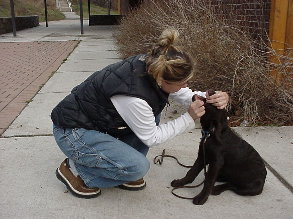 Mouth: Handle, treat.