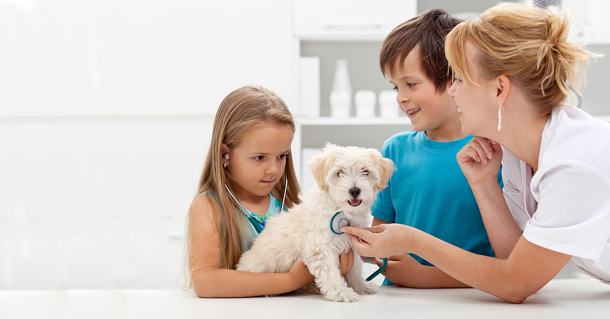 In this image a very young girl is being coached by her vet to listen to the heartbeat of her labradoodle puppy while her brother watches while standing beside her.
